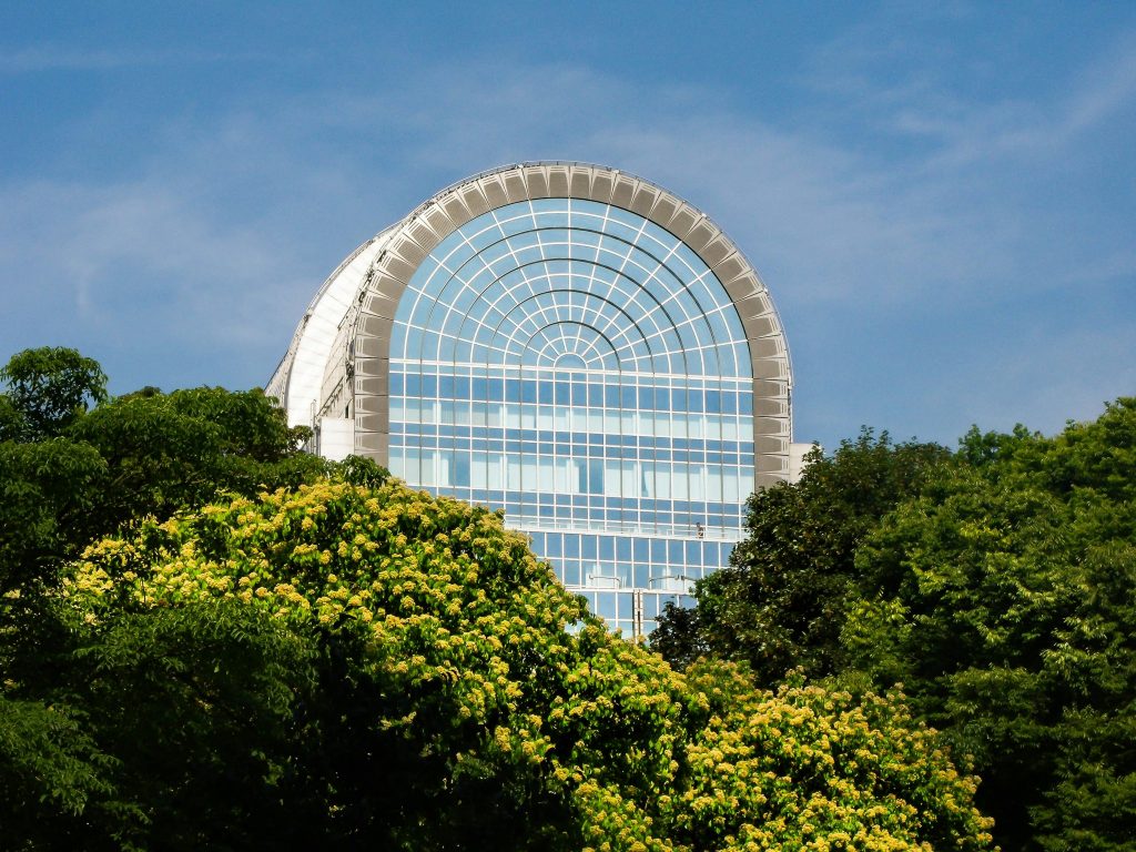 Brussels, 2 July 2026: A Day for the Rights of Nature at the European Parliament