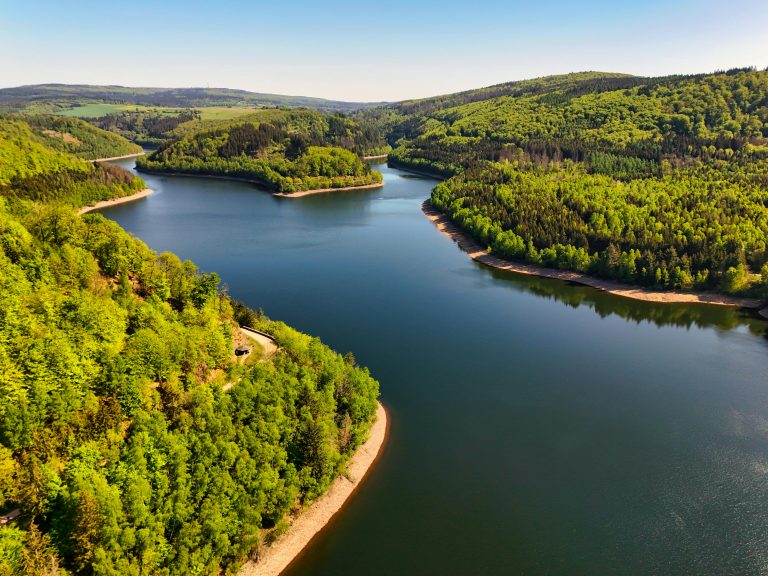 Aerial view of a winding lake set between densely forested green hills under a clear sky, with narrow sandy shorelines tracing the water's edge.